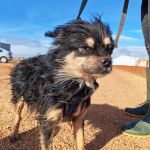 Zion_IMG_20251213_121144