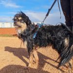 Zion_IMG_20251213_121153