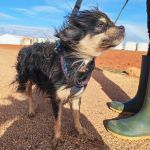 Zion_IMG_20251213_121201