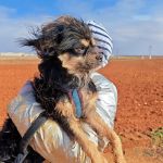 Zion_IMG_20251213_121214_1