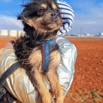 Zion_IMG_20251213_121226_1