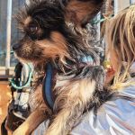 Zion_IMG_20251213_121306_1