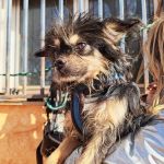 Zion_IMG_20251213_121308