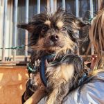 Zion_IMG_20251213_121309