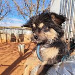 Zion_IMG_20251213_121315