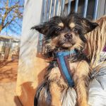 Zion_IMG_20251213_121322