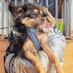 Zion_IMG_20251213_121326