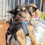 Zion_IMG_20251213_121339