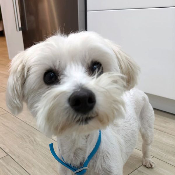 Bulto2_Aspa_FrontPicMask