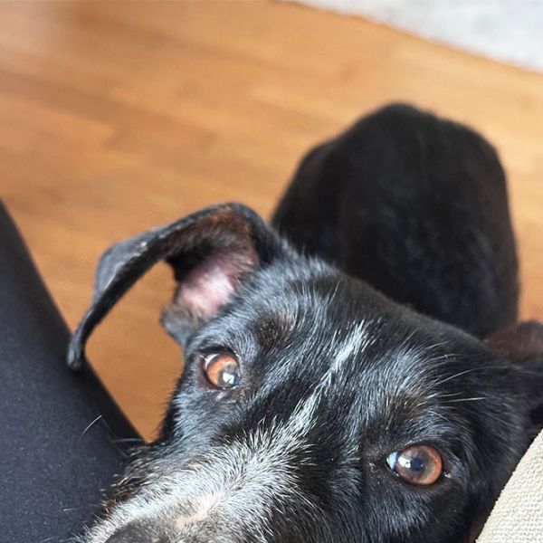 Frank5_Aspa_FrontPicMask