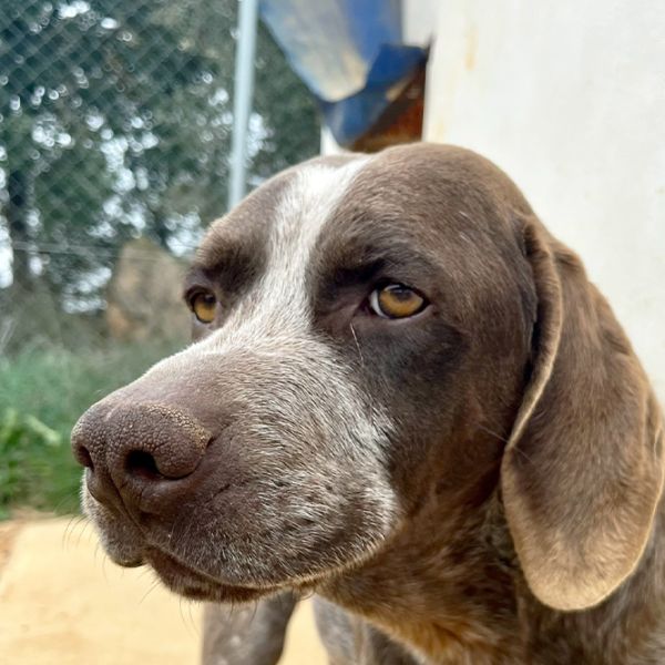 Jacky10_Aspa_FrontPicMask