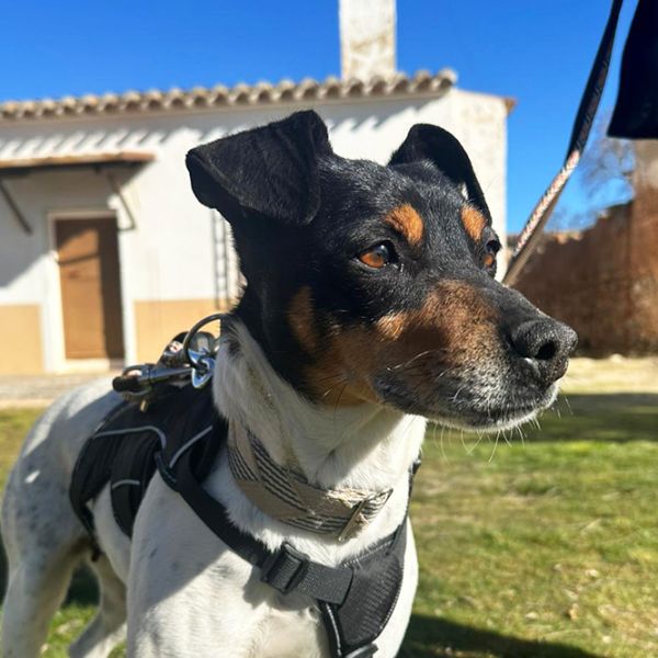 Lola6_Aspa_FrontPicMask