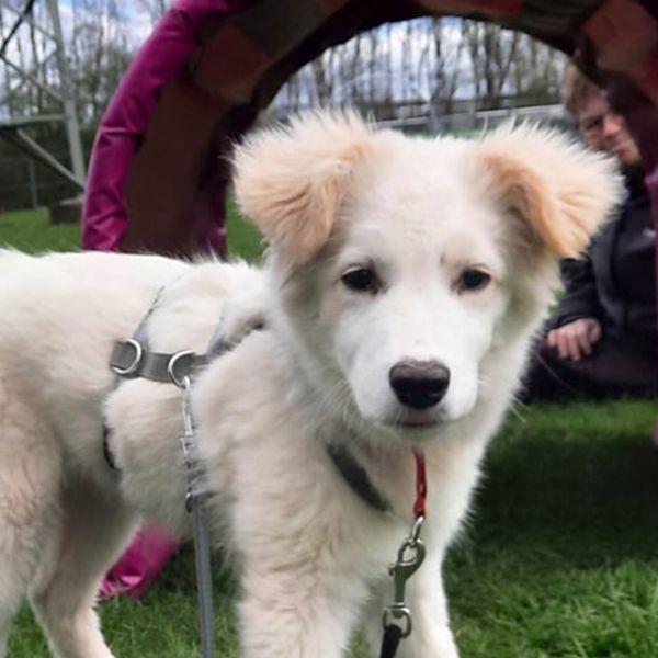 Maja5_Aspa_FrontPicMask