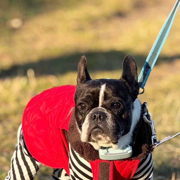 Nela10_Aspa_FrontPicMask