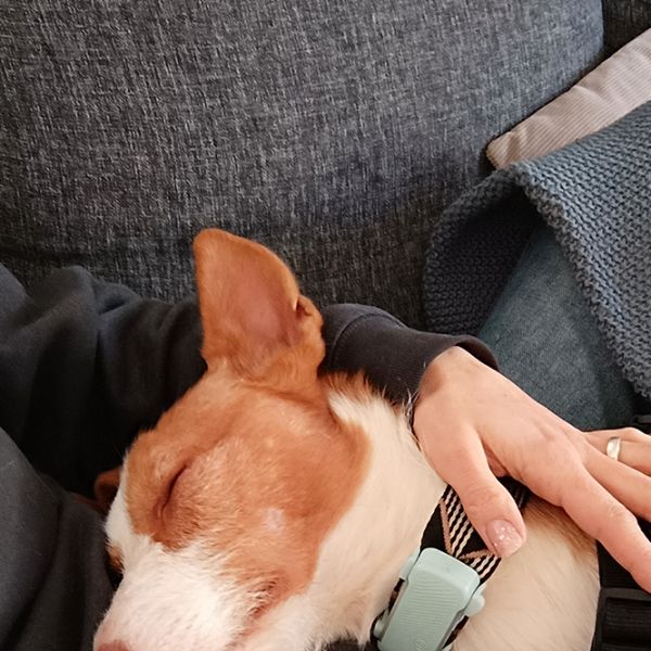 Rio8_Aspa_FrontPicMask