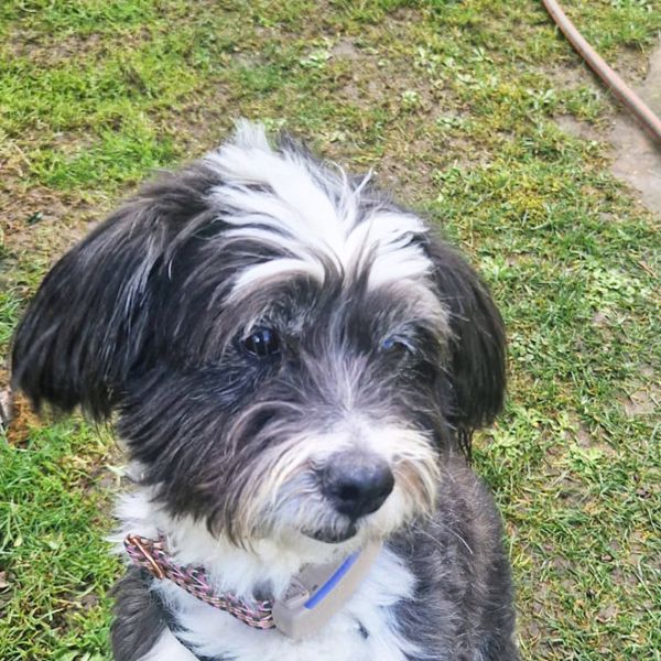 Rufo9_Aspa_FrontPicMask