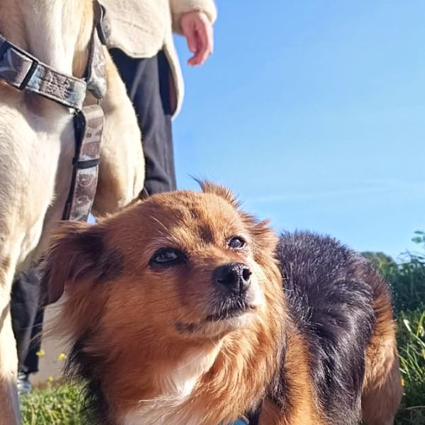 Tobi7_Aspa_FrontPicMask