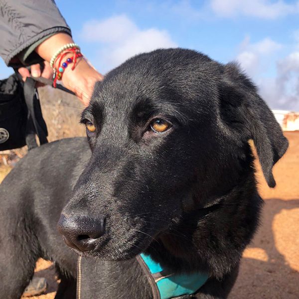 Vini4_Aspa_FrontPicMask