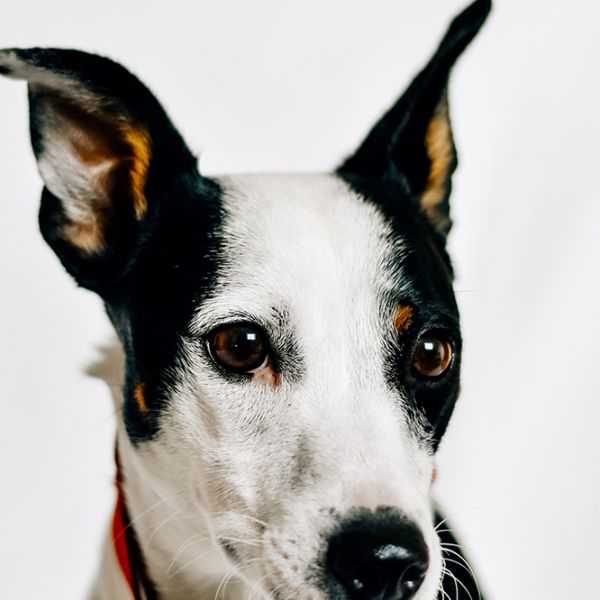 Yannik23_Aspa_FrontPicMask